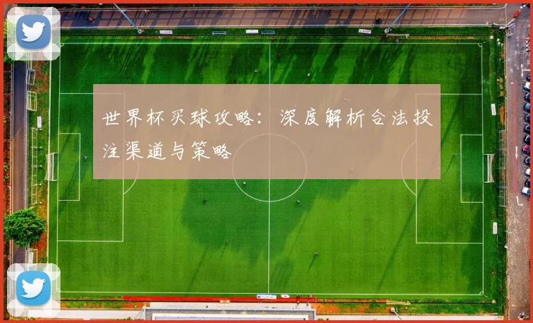 世界杯买球攻略：深度解析合法投注渠道与策略