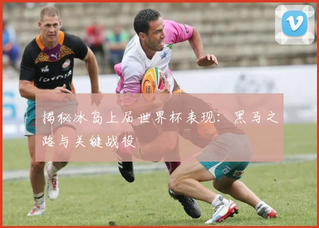 揭秘冰岛上届世界杯表现：黑马之路与关键战役