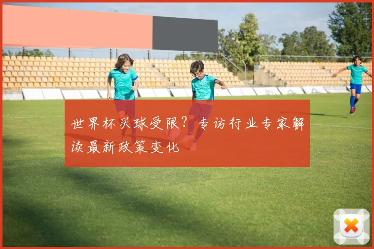 世界杯买球受限?专访行业专家解读最新政策变化